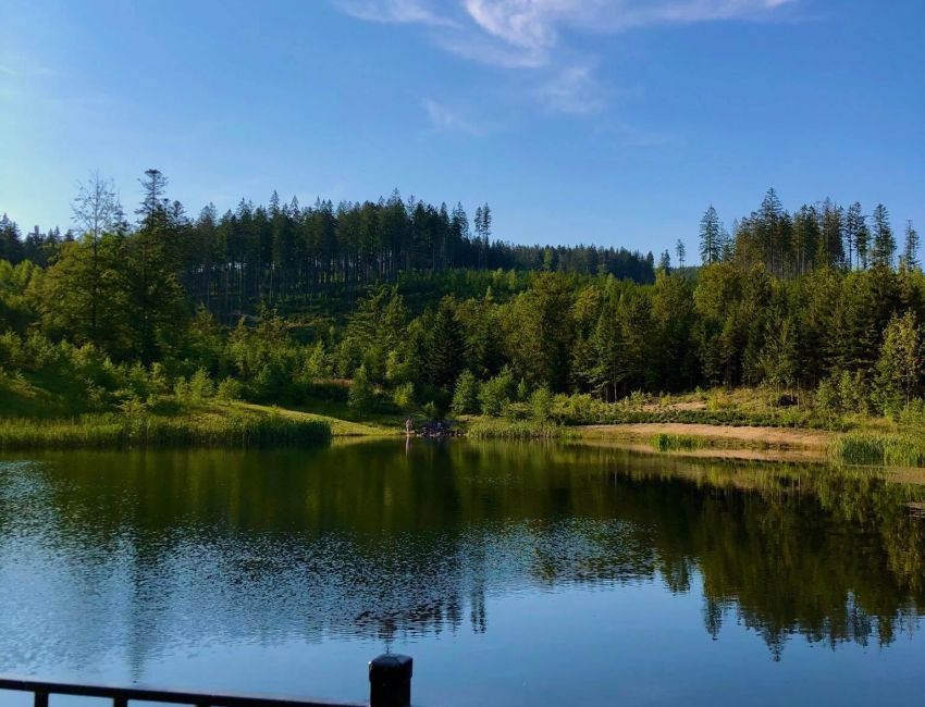 Wypożyczalnia rowerów, park linowy